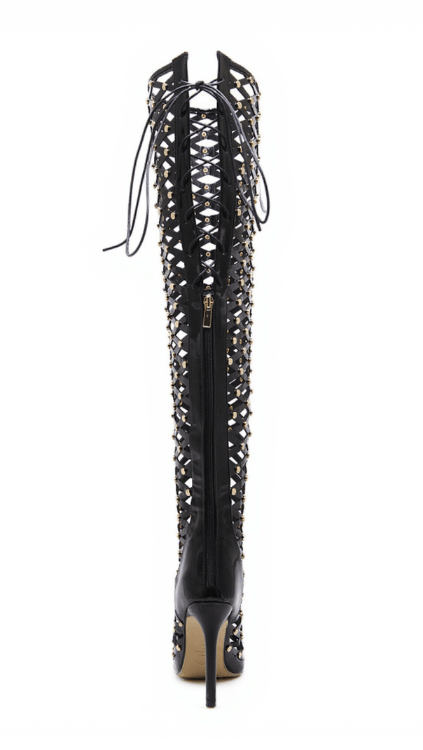 AIIZIE MAISON LACE UP NET HOLLOW BOOTS - product image