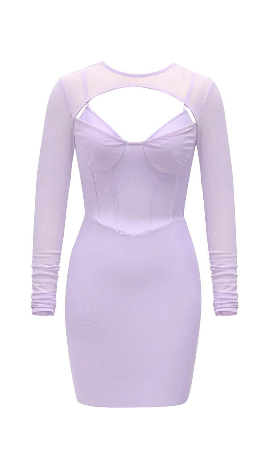 BANDAGE MESH HOLLOW MINI DRESS IN MAUVE