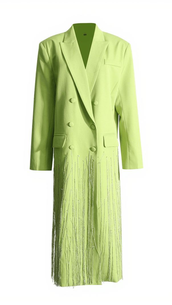 AIIZIE INIGO CRYSTAL FRINGE BLAZER COAT - product image