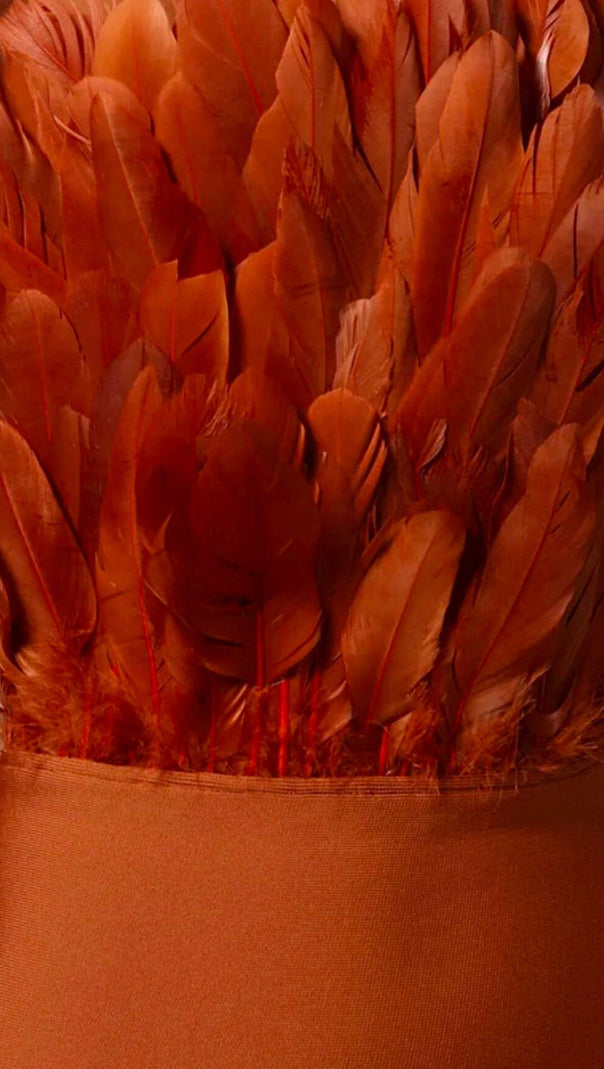 AIIZIE SLEEVELESS BACKLESS FEATHER-DECORATED SLIM MIDI DRESS IN BROWN - product image
