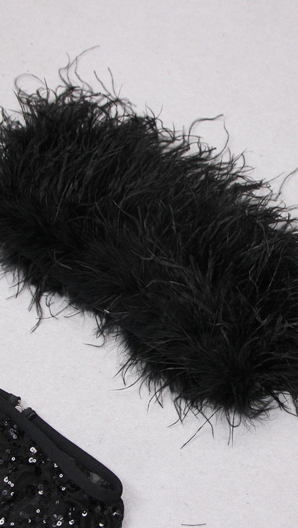 AIIZIE FEATHER SEQUIN TWO PIECE SET IN BLACK - product image