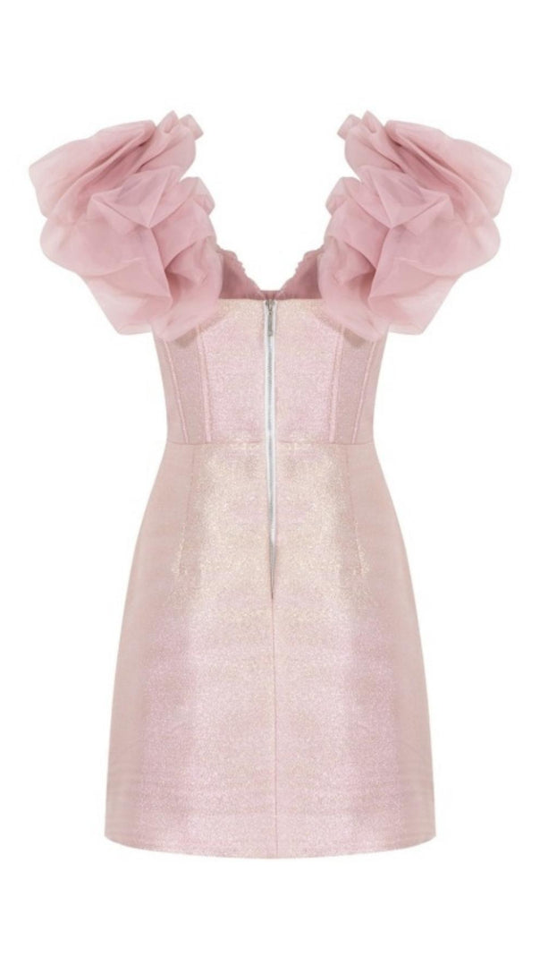 AIIZIE FISHBONE CORSET MINI DRESS - product image