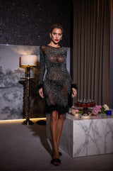 Palmira Rhinestone Feather Mesh Dress