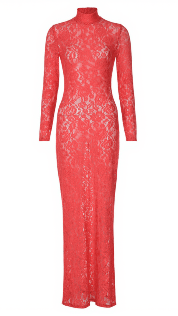 AIIZIE DAMIEN LONG SLEEVE LACE MAXI DRESS - product image