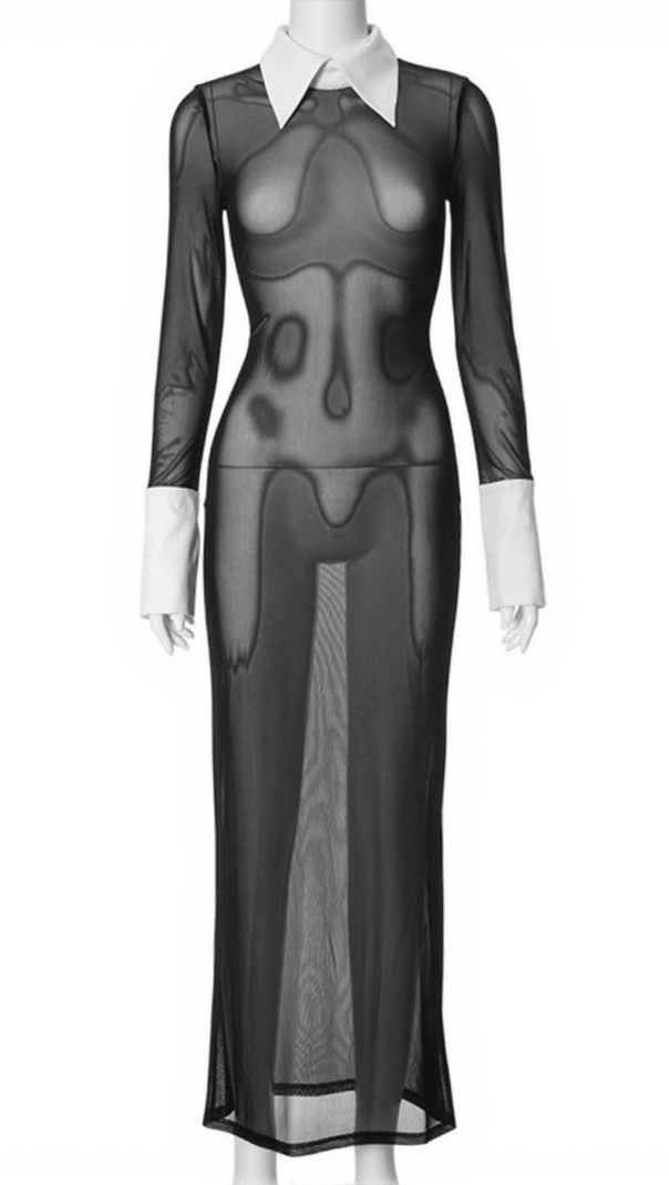 AIIZIE LUCIO FOLDED COLLAR MESH DRESS - product image