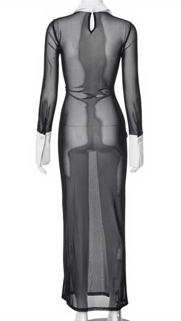 AIIZIE LUCIO FOLDED COLLAR MESH DRESS - product image