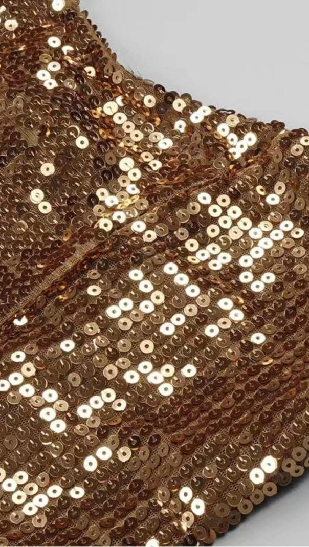 AIIZIE SEQUINED PLUSH SLIM FIT DRESS IN BROWN - product image