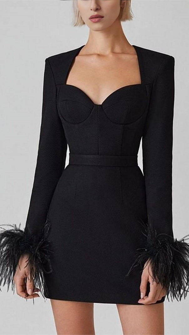 AIIZIE STRETCH LONG SLEEVES FEATHER MINI DRESS IN BLACK - product image