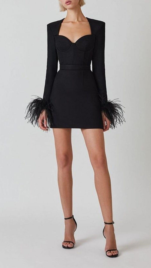 AIIZIE STRETCH LONG SLEEVES FEATHER MINI DRESS IN BLACK - product image