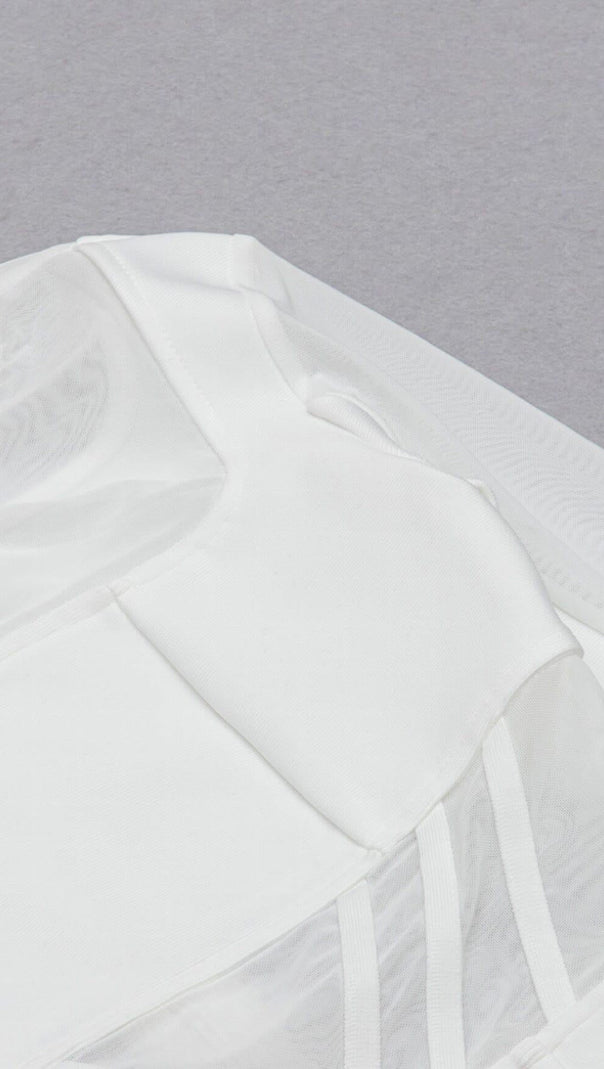 AIIZIE MESH STITCHED SKINNY MINI DRESS IN WHITE - product image