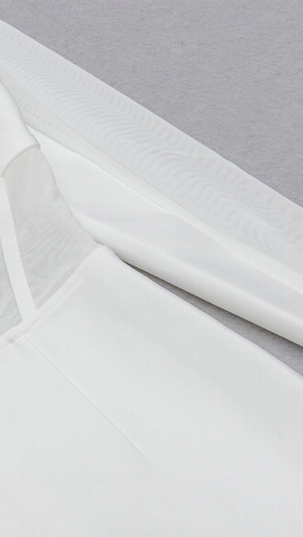 AIIZIE MESH STITCHED SKINNY MINI DRESS IN WHITE - product image