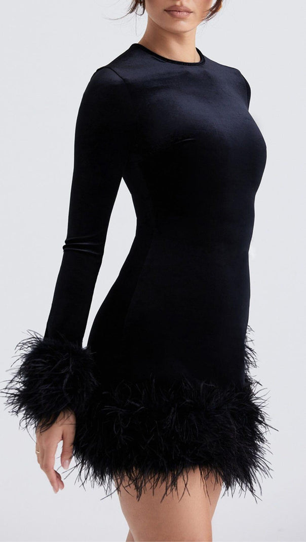 AIIZIE BLACK VELVET MINI DRESS - product image
