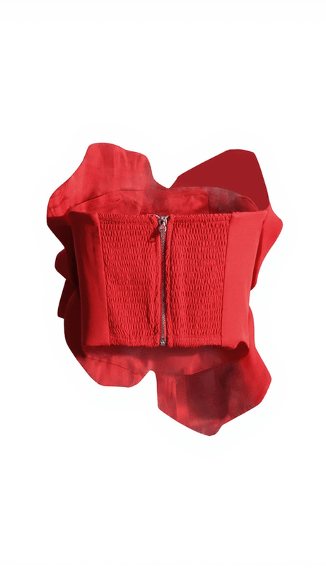 BAYARD STRAPLESS FLOWER TOP IN RED