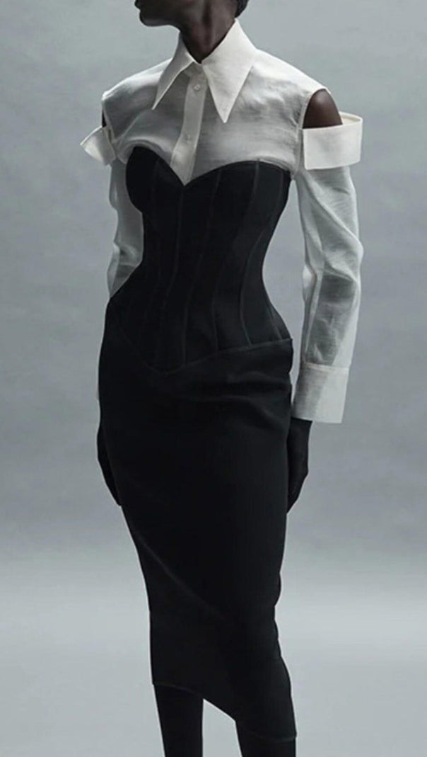 AIIZIE TUBE TOP TIGHT ZIPPER DRESS IN BLACK - product image