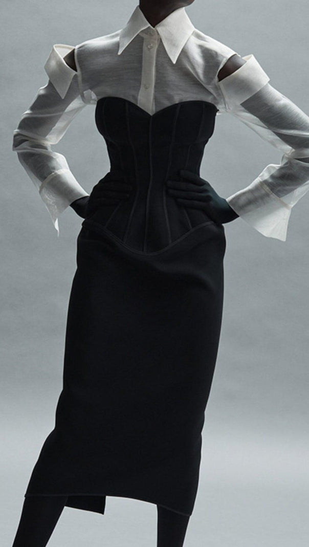 AIIZIE TUBE TOP TIGHT ZIPPER DRESS IN BLACK - product image