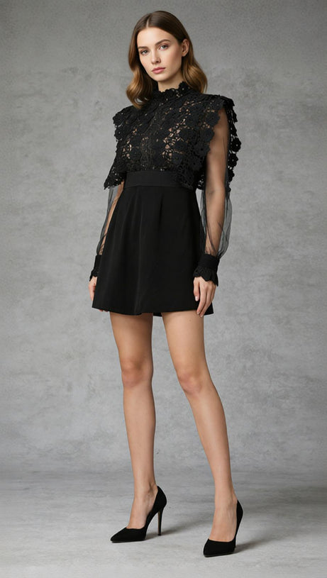 Jorden Black Lace Mock Neck Mini Dress with Sheer Sleeves AIIZIE Jorden Black Lace Mock Neck Mini Dress with Sheer Sleeves AIIZIE