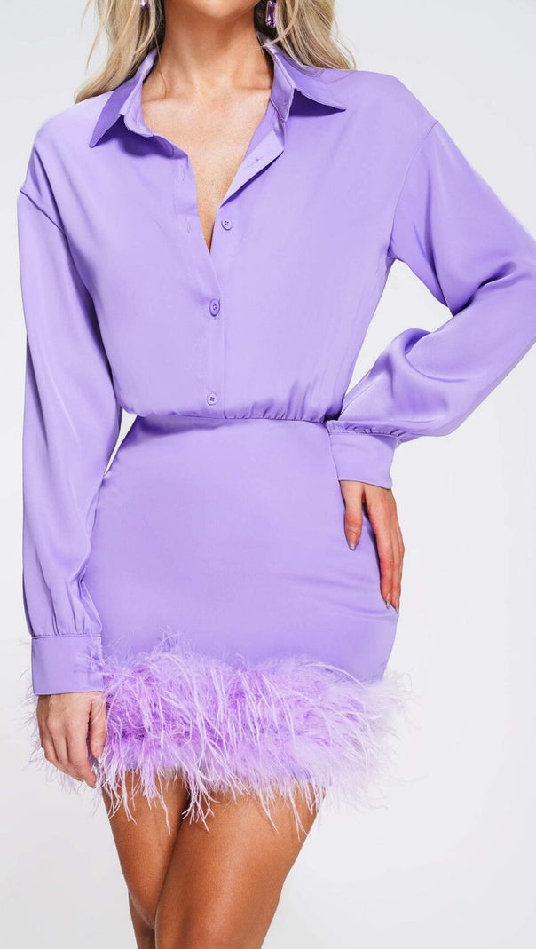AIIZIE FEATHER LONG SLEEVE SHIRT DRESS - product image