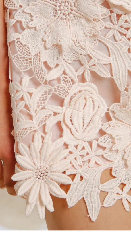 FREDA FLORAL LACE MINI DRESS IN PINK