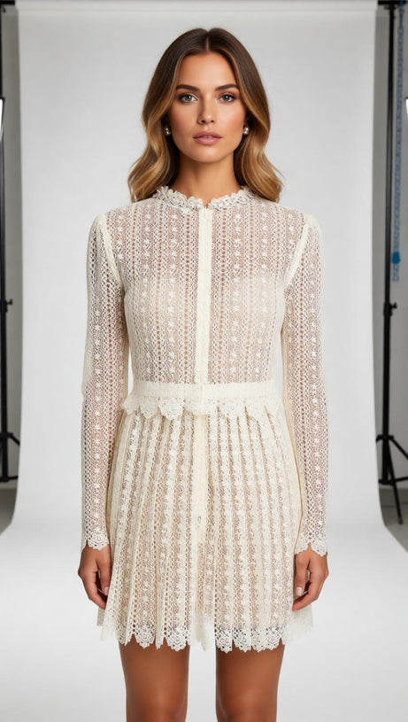 Chic Organza Lace Mini Dress | Ruffled Neck & Scalloped Details