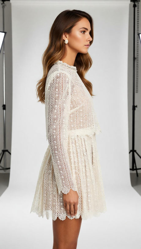 Chic Organza Lace Mini Dress | Ruffled Neck & Scalloped Details