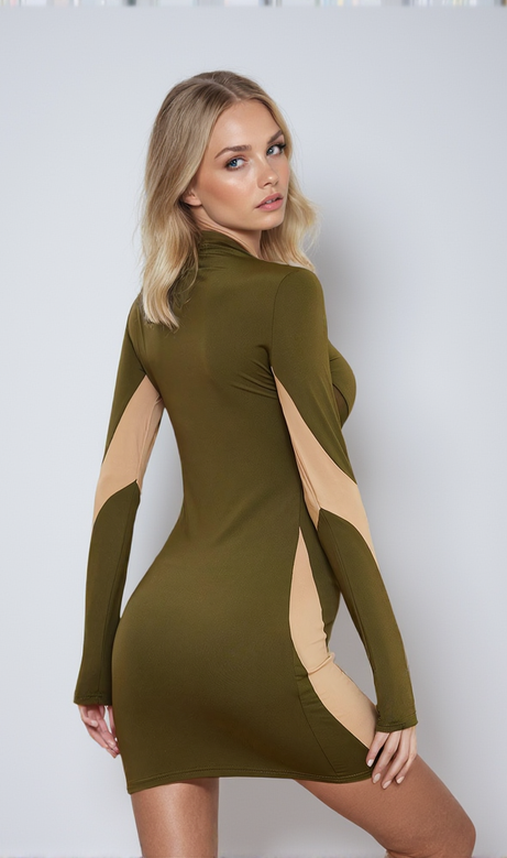 Edmund Long Sleeve Cutout Mini Dress