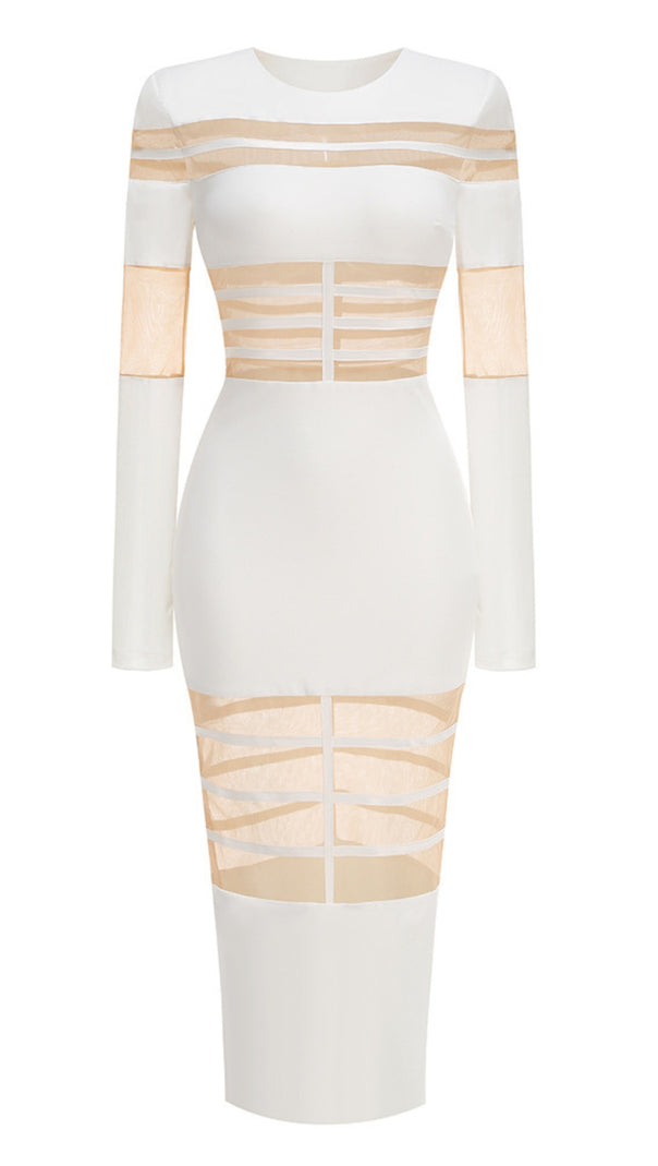 AIIZIE WHITE MESH - PANELED LONG - SLEEVE BODYCON MIDI DRESS - product image