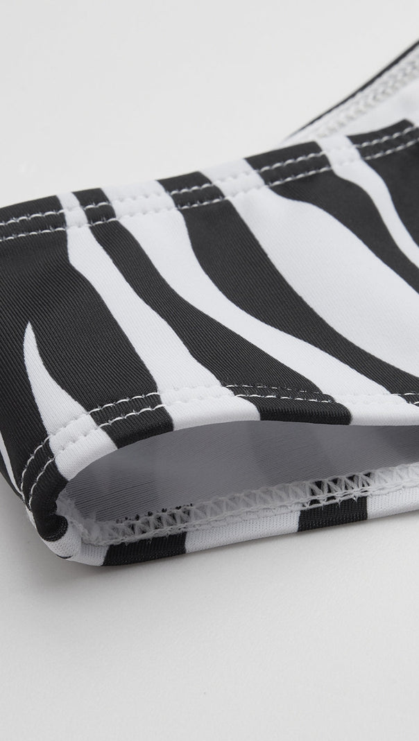 AIIZIE ZEBRA STRIPED TRIANGLE BIKINI SET - product image