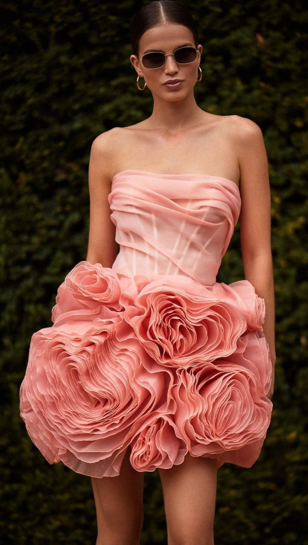 AIIZIE GEORGIA APPLIQUÉD ORGANZA CORAL MINI DRESS - product image