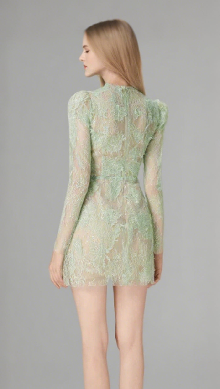 FLORAL AND RAMAGE EMBROIDERY MIDI DRESS