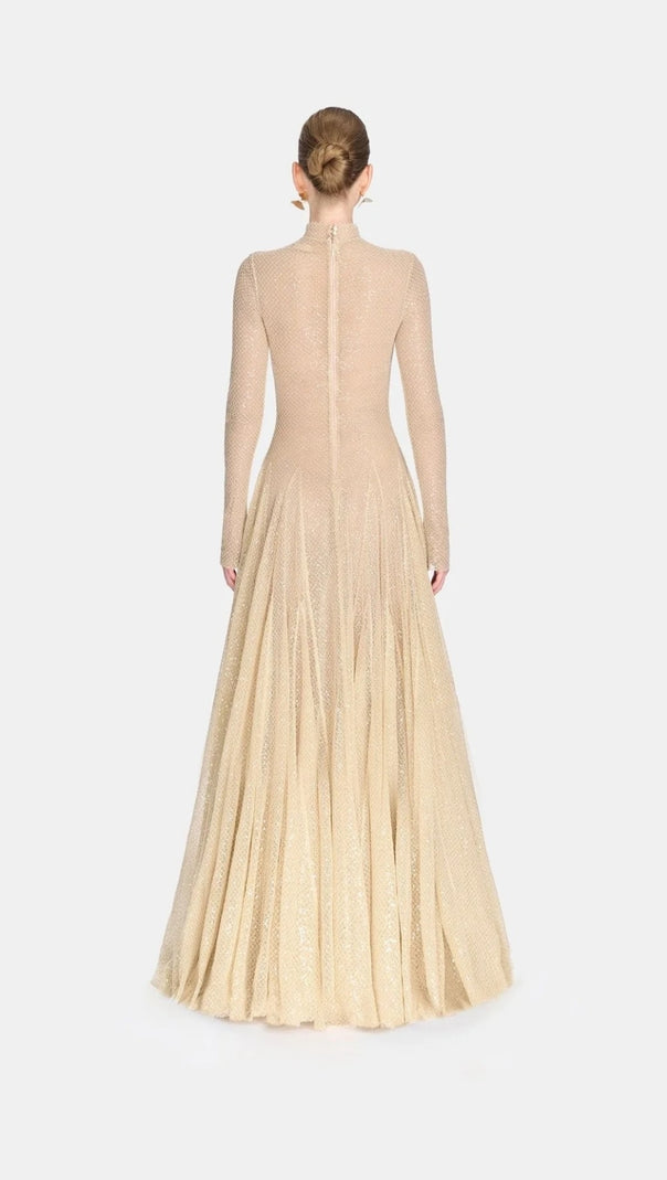 AIIZIE ANILA BEIGE MESH LONG SLEEVE SLIM MAXI DRESS - product image