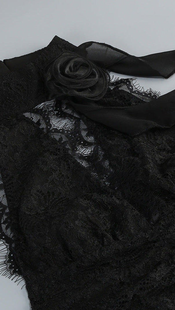 AIIZIE HULDA COTTON LACE HOLLOW MAXI DRESS IN BLACK - product image