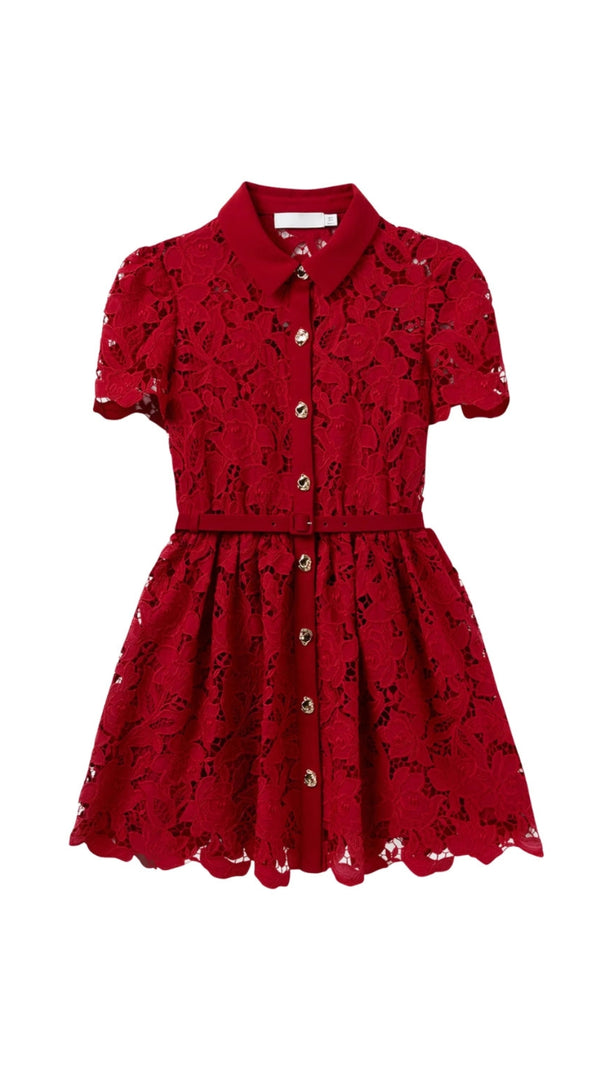 AIIZIE BURGUNDY LACE COLLARED MINI DRESS - product image