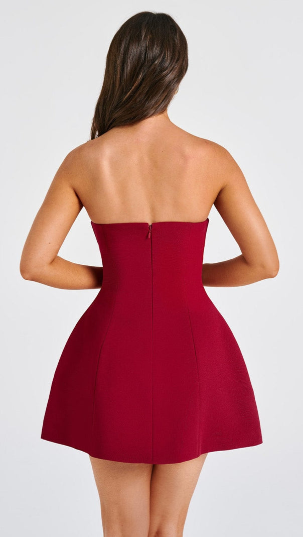 AIIZIE ASHA MINI DRESS - WINE - product image