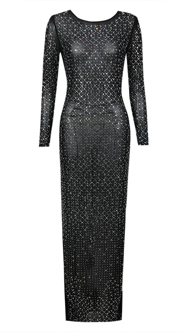 AIIZIE SHEER GLITTER - SPECKLED LONG - SLEEVE MAXI DRESS IN BLACK - product image