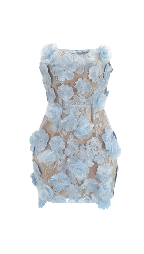 JESSICA FLORAL EMBROIDERY MINI DRESS IN BLUE