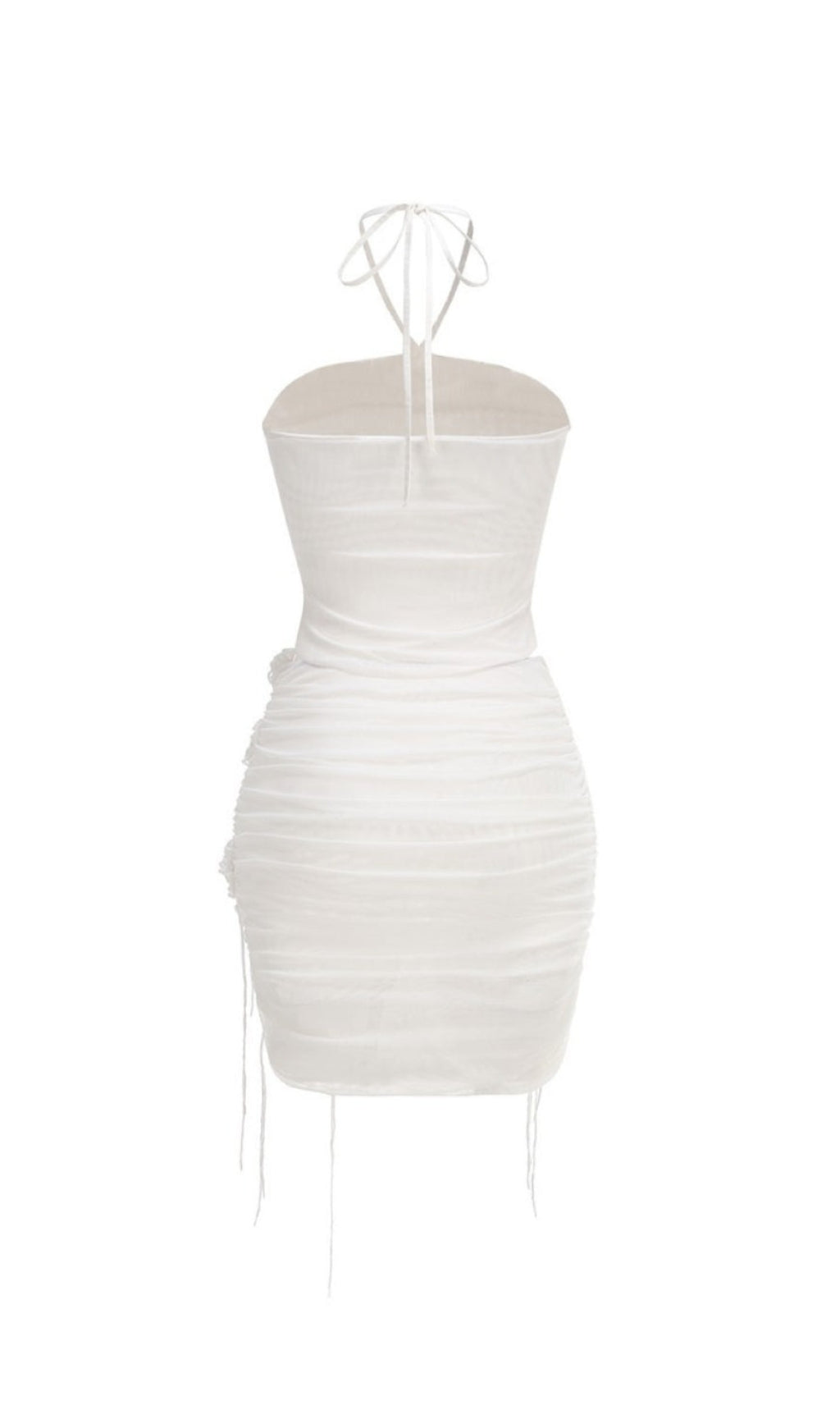 AIIZIE HELEN HALTER RUCHED MESH FLORAL MINI DRESS IN WHITE - product image
