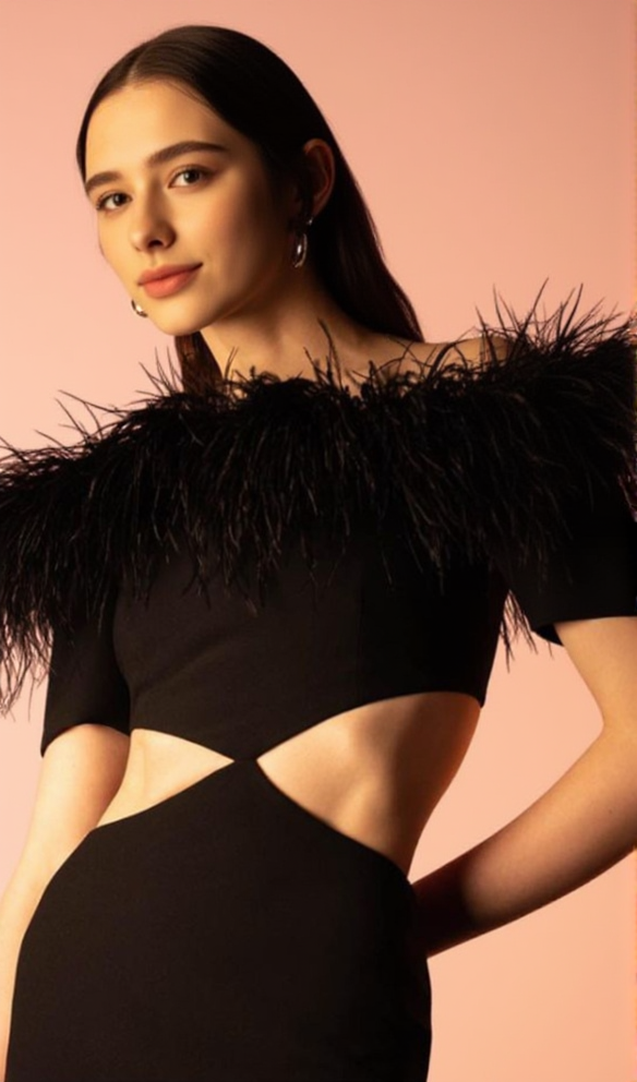AIIZIE OFF-SHOULDER FEATHER PANEL BLACK DRESS - product image