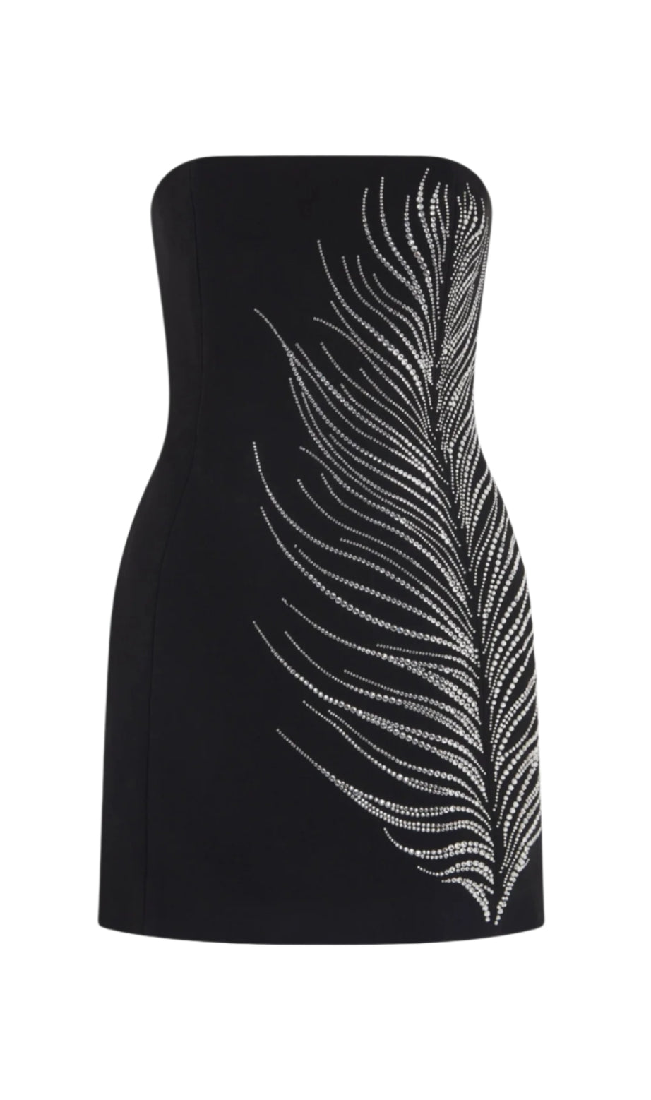 Hlisa Strapless Feather Embellished Mini Dress