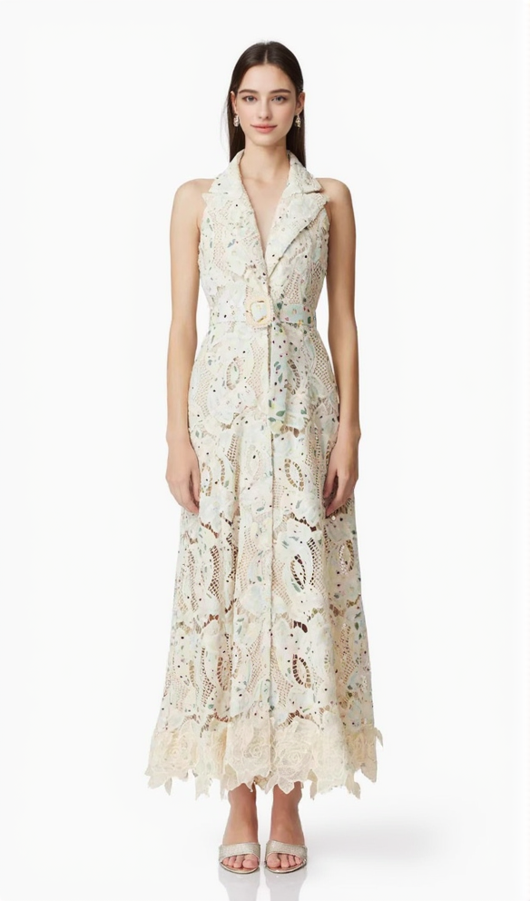 CHLOE SLEEVELESS HOLLOW LACE MAXI DRESS IN BEIGE