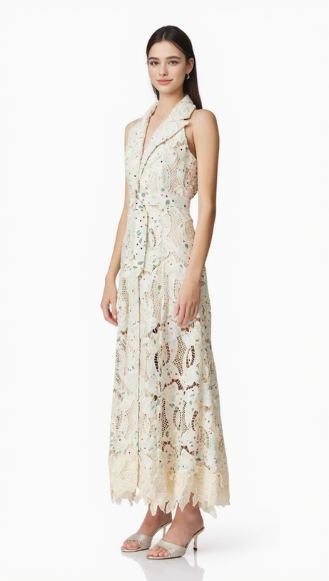 CHLOE SLEEVELESS HOLLOW LACE MAXI DRESS IN BEIGE