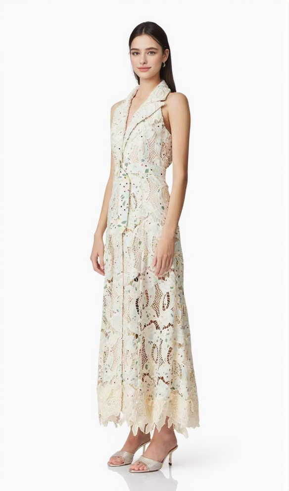 AIIZIE CHLOE SLEEVELESS HOLLOW LACE MAXI DRESS IN BEIGE - product image