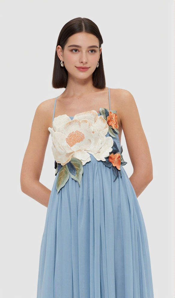 joanne Appliqué Floral Maxi Dress in Powder Blue